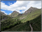 foto Malga Val Cion